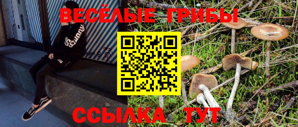 Людиново  Галлюциногенные грибы GOLDEN TEACHER  Вход с VPN 